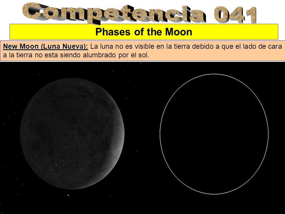 Competencia 041 Phases of the Moon