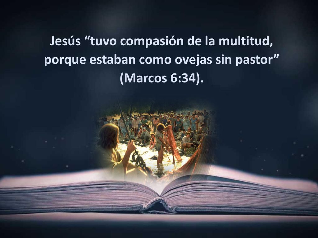 Jesús tuvo compasión de la multitud, porque estaban como ovejas sin pastor (Marcos 6:34).