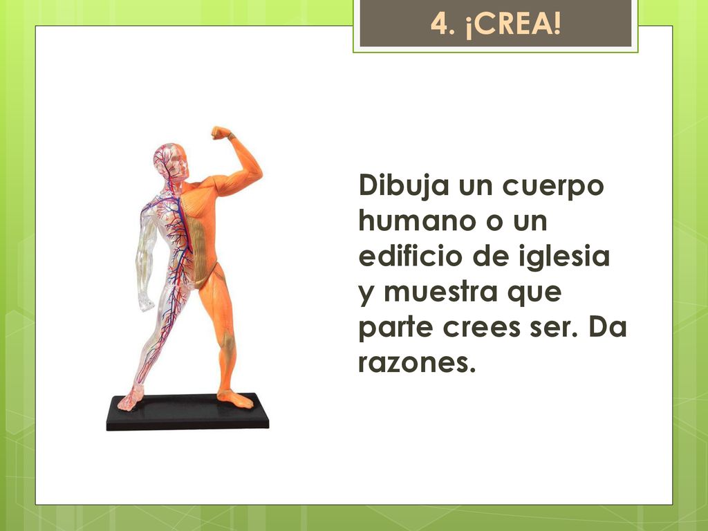 4. ¡CREA. Dibuja un cuerpo humano o un edificio de iglesia y muestra que parte crees ser.