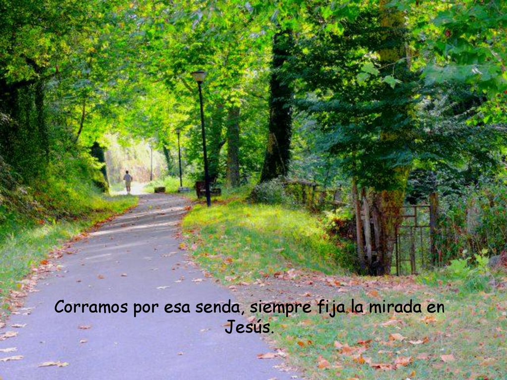Corramos por esa senda, siempre fija la mirada en Jesús.