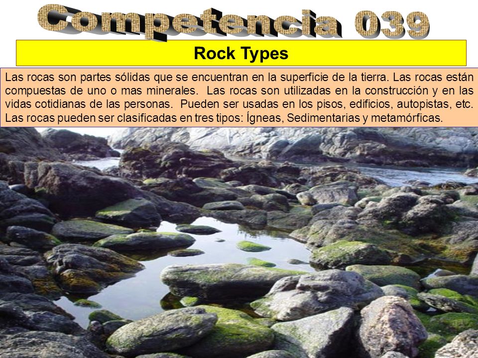 Competencia 039 Rock Types