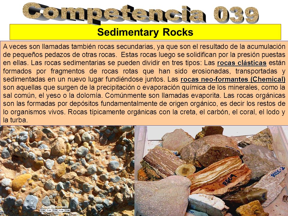 Competencia 039 Sedimentary Rocks