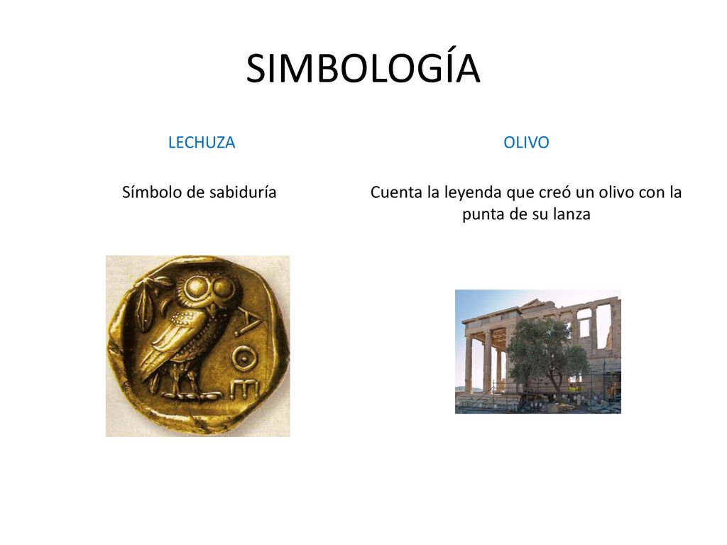 Cuenta la leyenda que creó un olivo con la punta de su lanza
