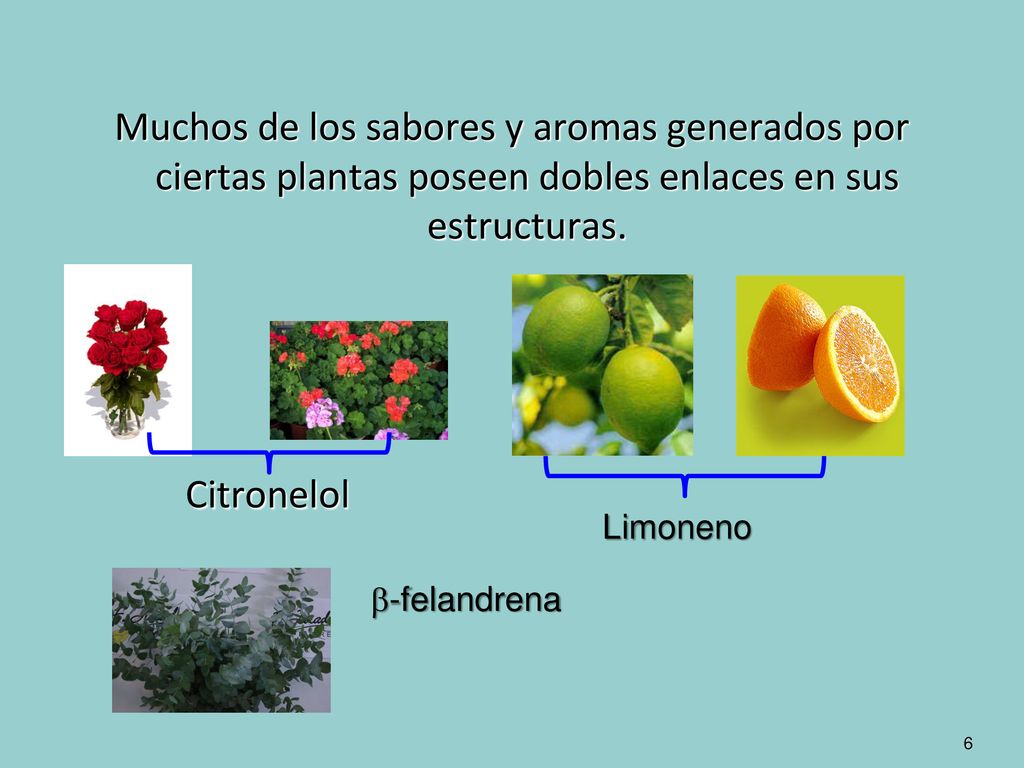 Muchos de los sabores y aromas generados por ciertas plantas poseen dobles enlaces en sus estructuras.