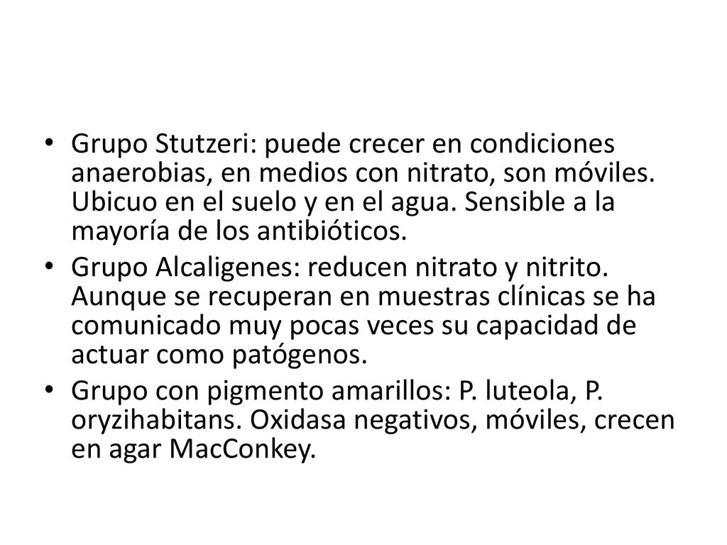 Grupo Stutzeri: puede crecer en condiciones anaerobias, en medios con nitrato, son móviles. Ubicuo en el suelo y en el agua. Sensible a la mayoría de los antibióticos.