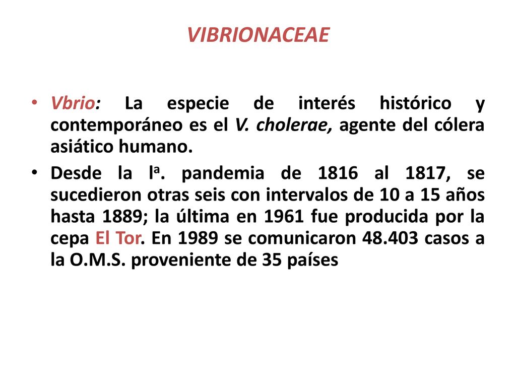 VIBRIONACEAE Vbrio: La especie de interés histórico y contemporáneo es el V. cholerae, agente del cólera asiático humano.
