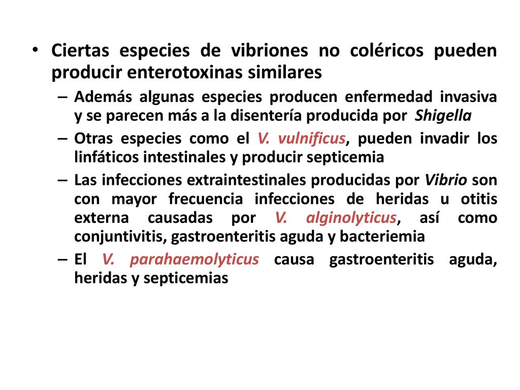 Ciertas especies de vibriones no coléricos pueden producir enterotoxinas similares