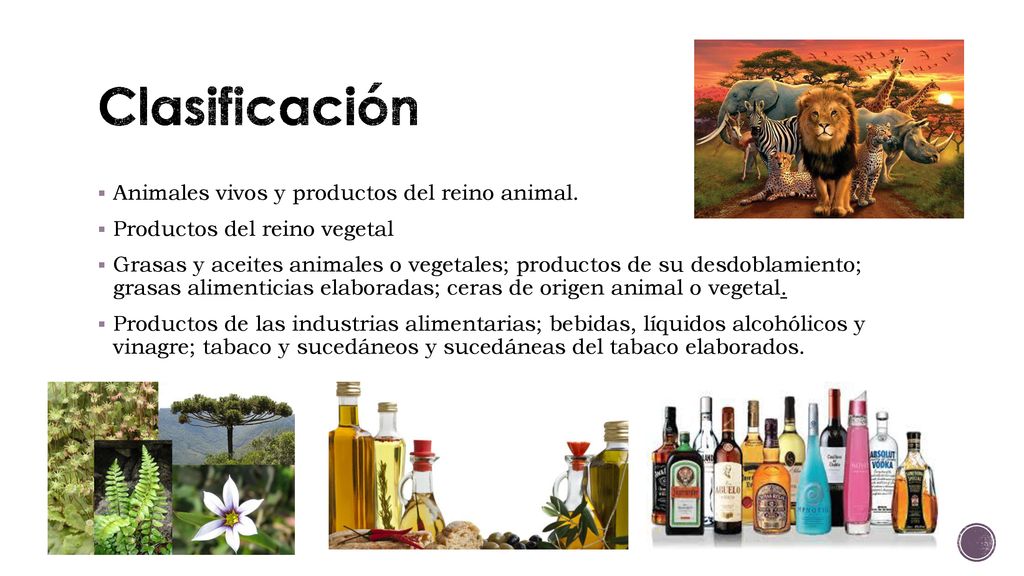 Clasificación Animales vivos y productos del reino animal.