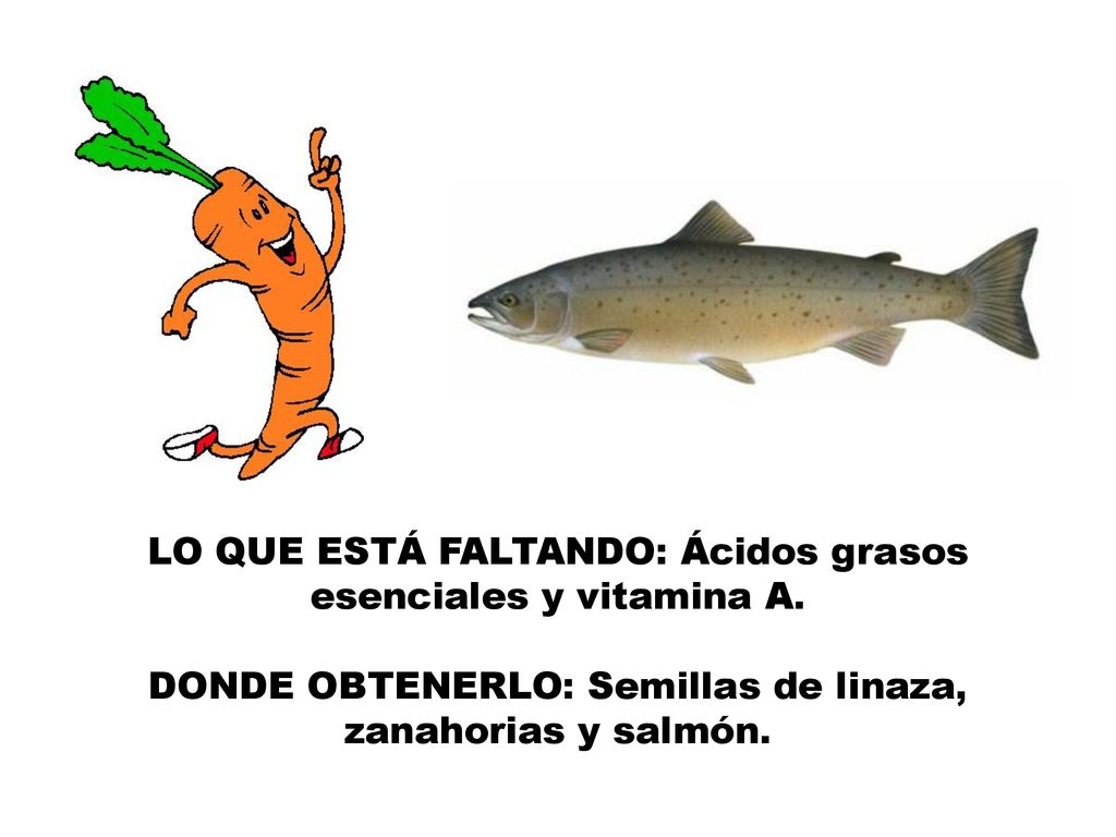 LO QUE ESTÁ FALTANDO: Ácidos grasos esenciales y vitamina A.