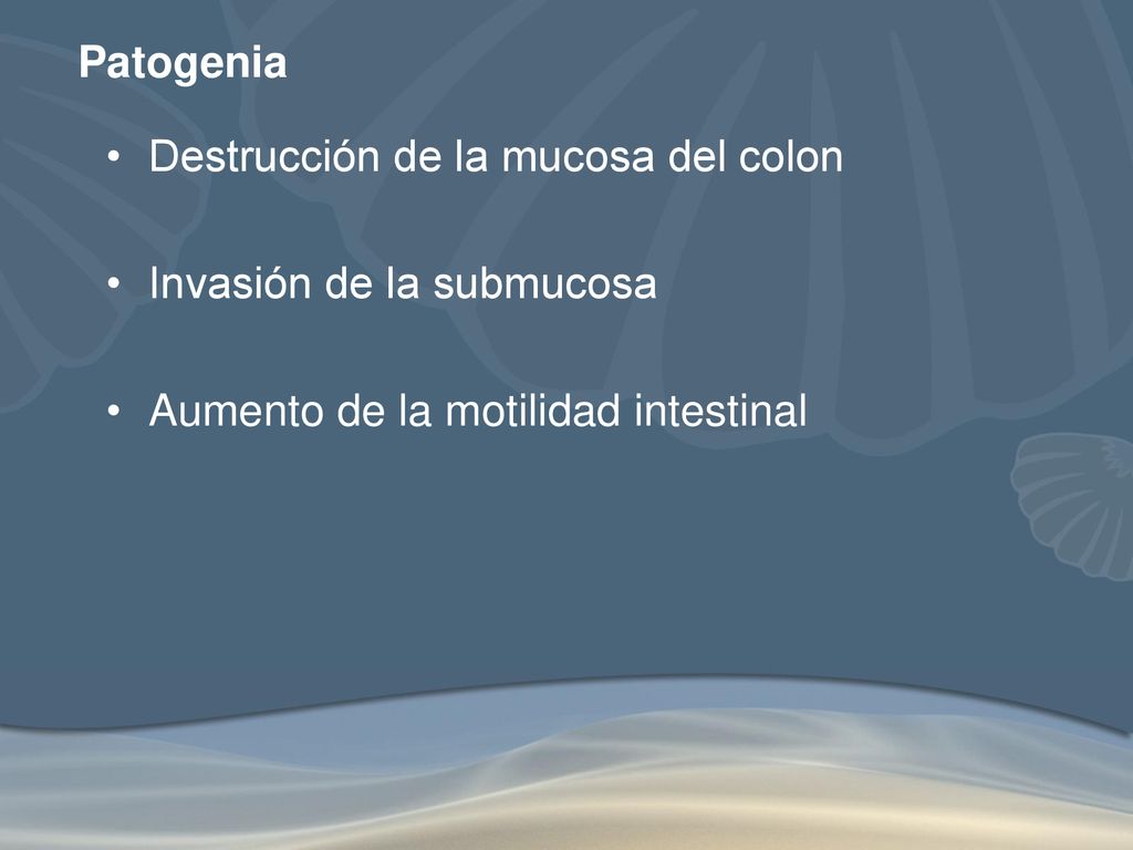 Patogenia Destrucción de la mucosa del colon. Invasión de la submucosa.