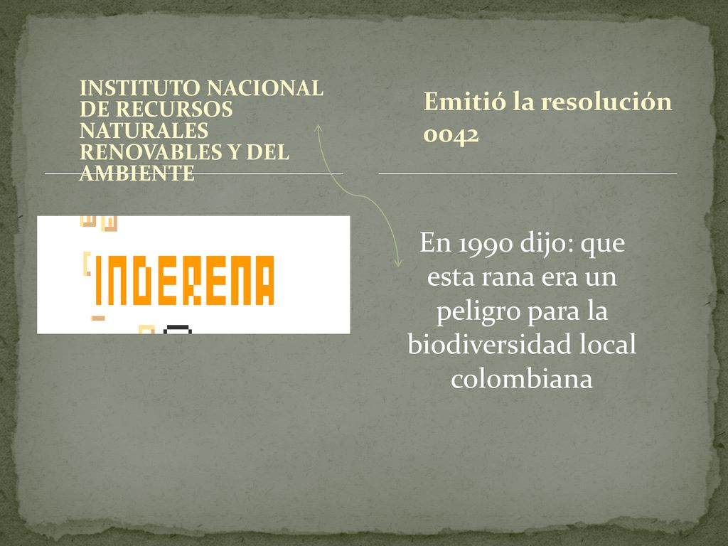 Emitió la resolución 0042 INSTITUTO NACIONAL DE RECURSOS NATURALES RENOVABLES Y DEL AMBIENTE.