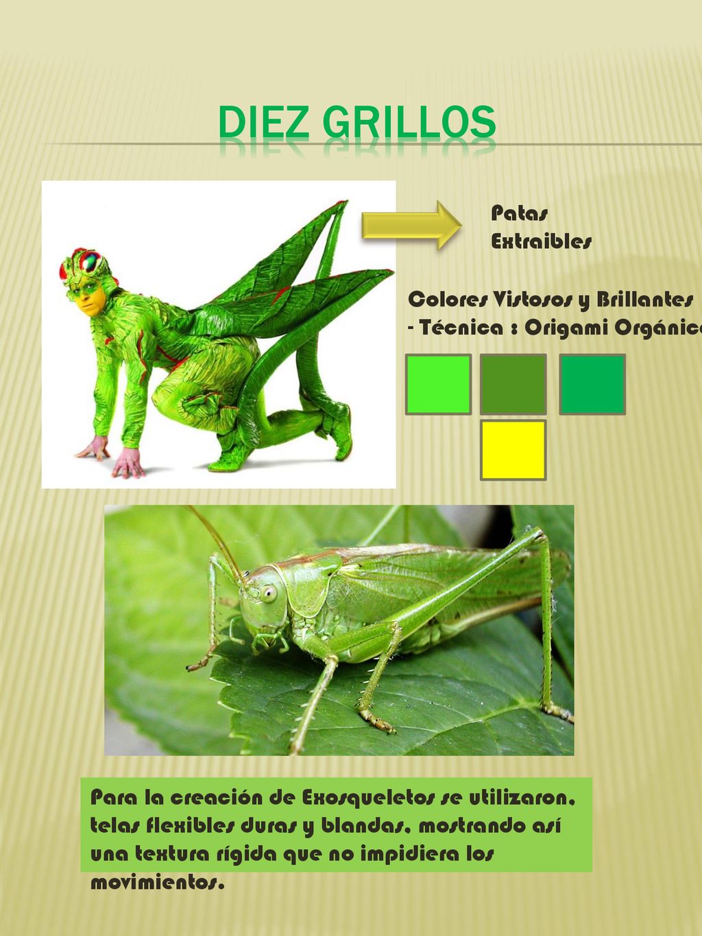 Diez Grillos Patas Extraibles Colores Vistosos y Brillantes