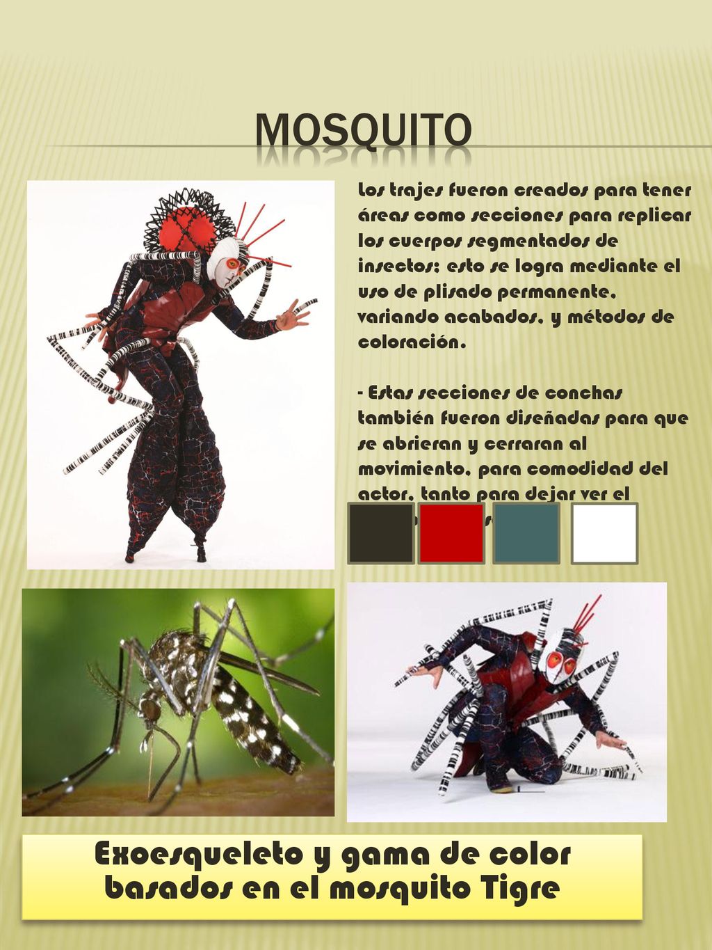 Exoesqueleto y gama de color basados en el mosquito Tigre