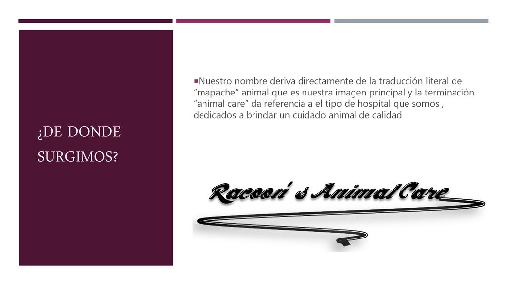 Nuestro nombre deriva directamente de la traducción literal de mapache animal que es nuestra imagen principal y la terminación animal care da referencia a el tipo de hospital que somos , dedicados a brindar un cuidado animal de calidad