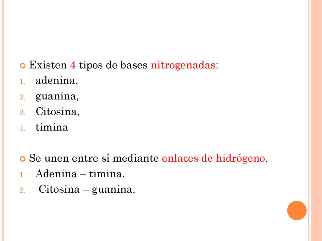 Existen 4 tipos de bases nitrogenadas: