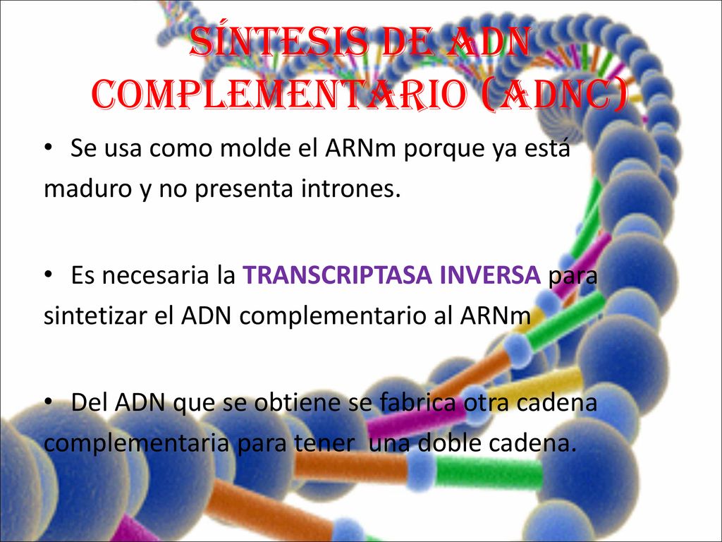 SÍNTESIS DE ADN COMPLEMENTARIO (ADNc)