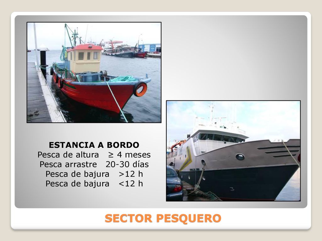 SECTOR PESQUERO ESTANCIA A BORDO Pesca de altura ≥ 4 meses