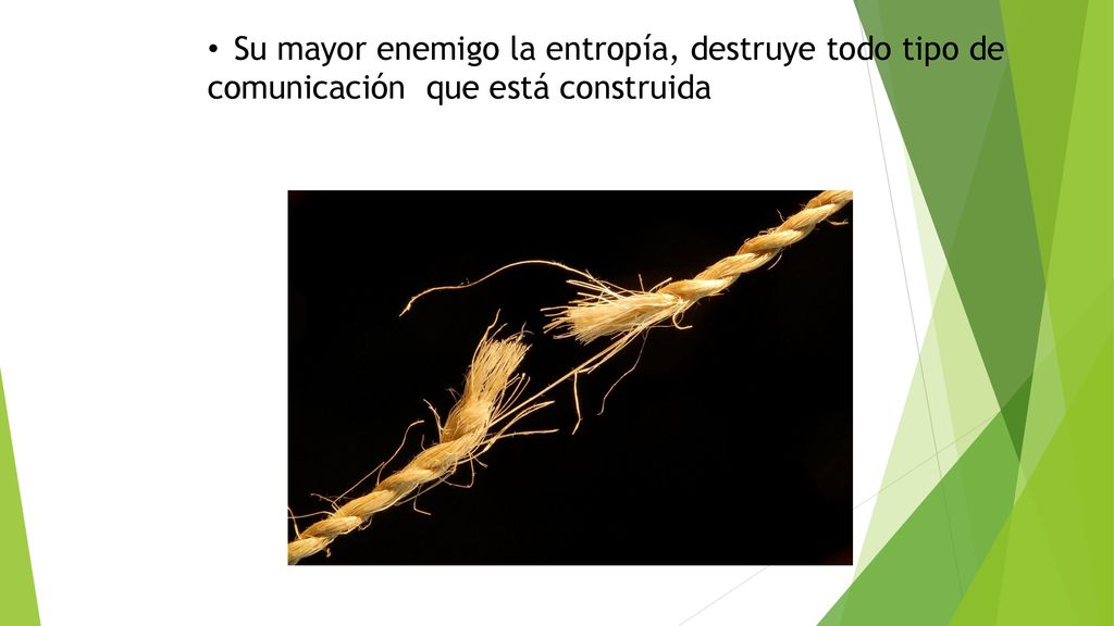 Su mayor enemigo la entropía, destruye todo tipo de