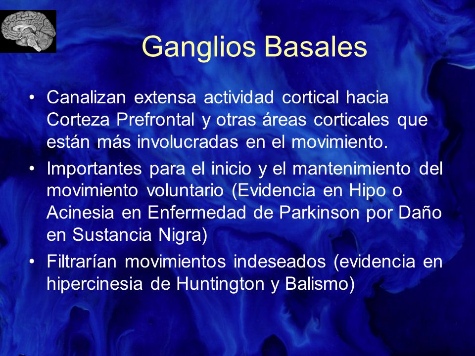 Ganglios Basales Canalizan extensa actividad cortical hacia Corteza Prefrontal y otras áreas corticales que están más involucradas en el movimiento.