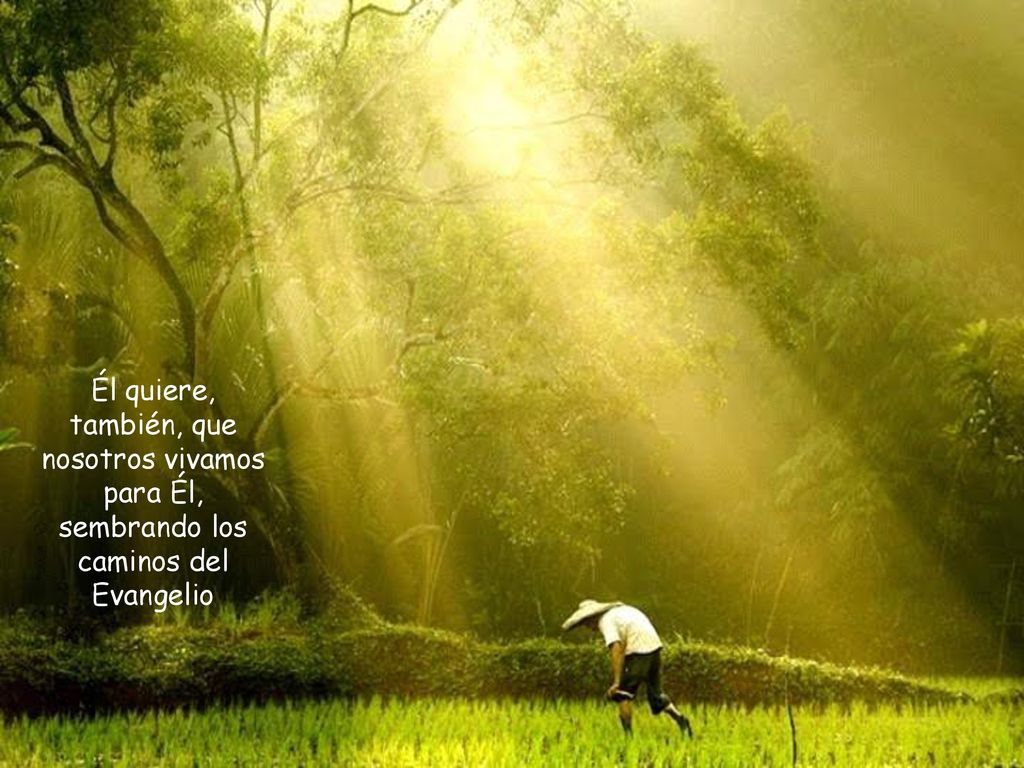 Él quiere, también, que nosotros vivamos para Él, sembrando los caminos del Evangelio
