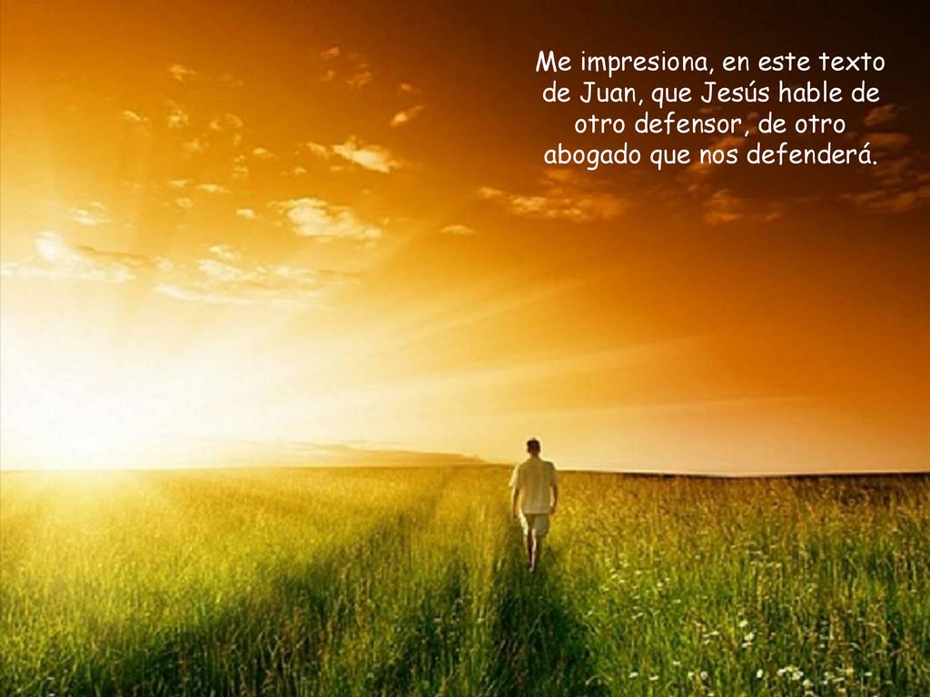 Me impresiona, en este texto de Juan, que Jesús hable de otro defensor, de otro abogado que nos defenderá.