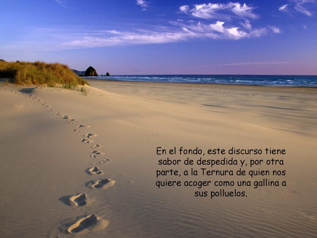 En el fondo, este discurso tiene sabor de despedida y, por otra parte, a la Ternura de quien nos quiere acoger como una gallina a sus polluelos.
