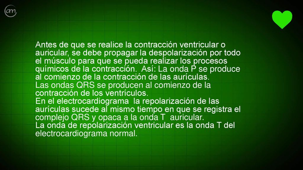 Antes de que se realice la contracción ventricular o auricular, se debe propagar la despolarización por todo el músculo para que se pueda realizar los procesos químicos de la contracción.