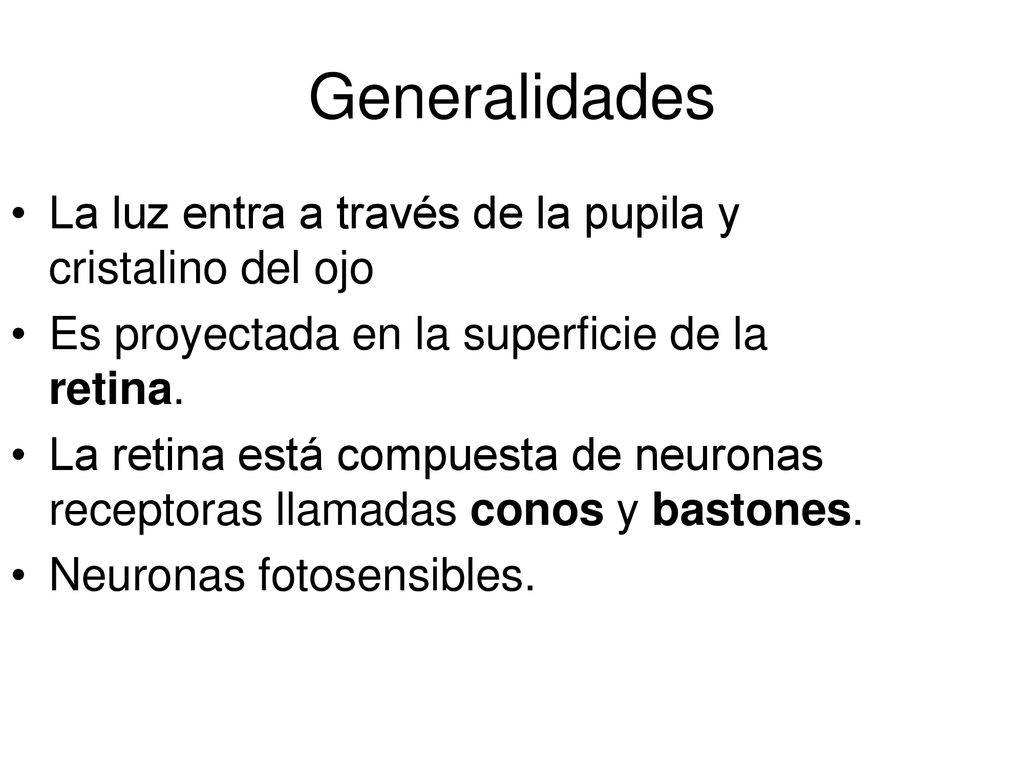 Generalidades La luz entra a través de la pupila y cristalino del ojo