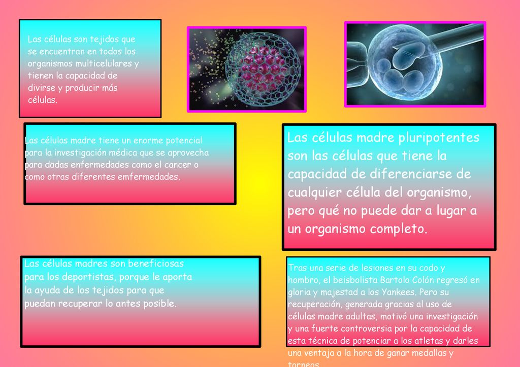 Las células son tejidos que se encuentran en todos los organismos multicelulares y tienen la capacidad de divirse y producir más células.
