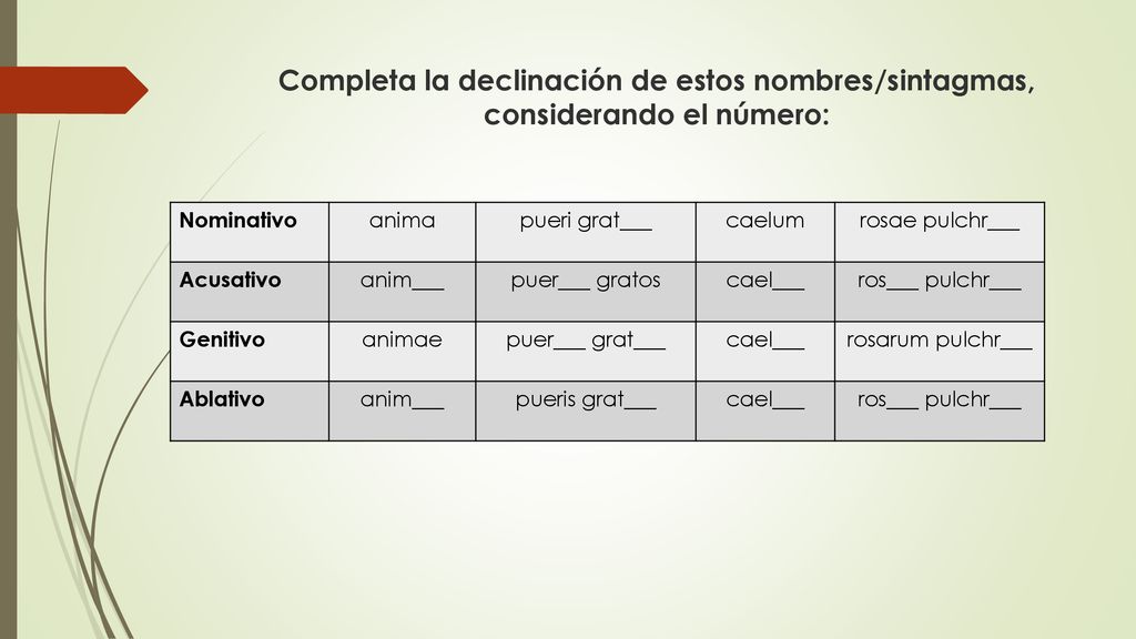 Completa la declinación de estos nombres/sintagmas, considerando el número: