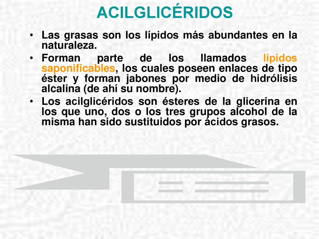 ACILGLICÉRIDOS Las grasas son los lípidos más abundantes en la naturaleza.