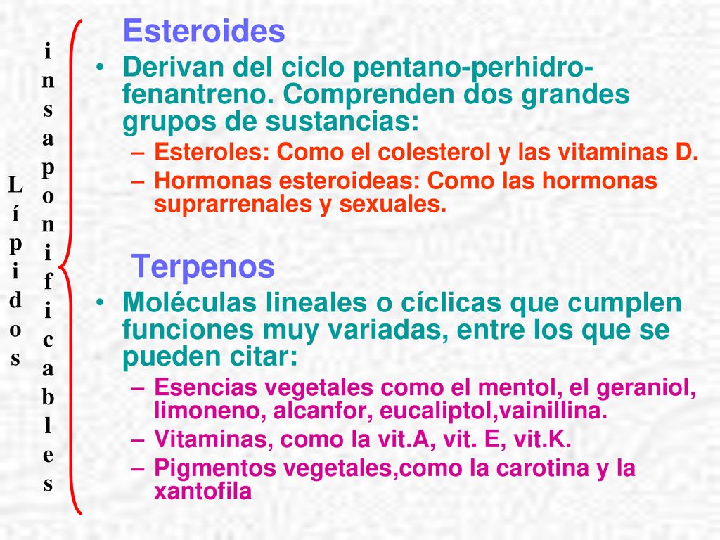 Esteroides Derivan del ciclo pentano-perhidro-fenantreno. Comprenden dos grandes grupos de sustancias: