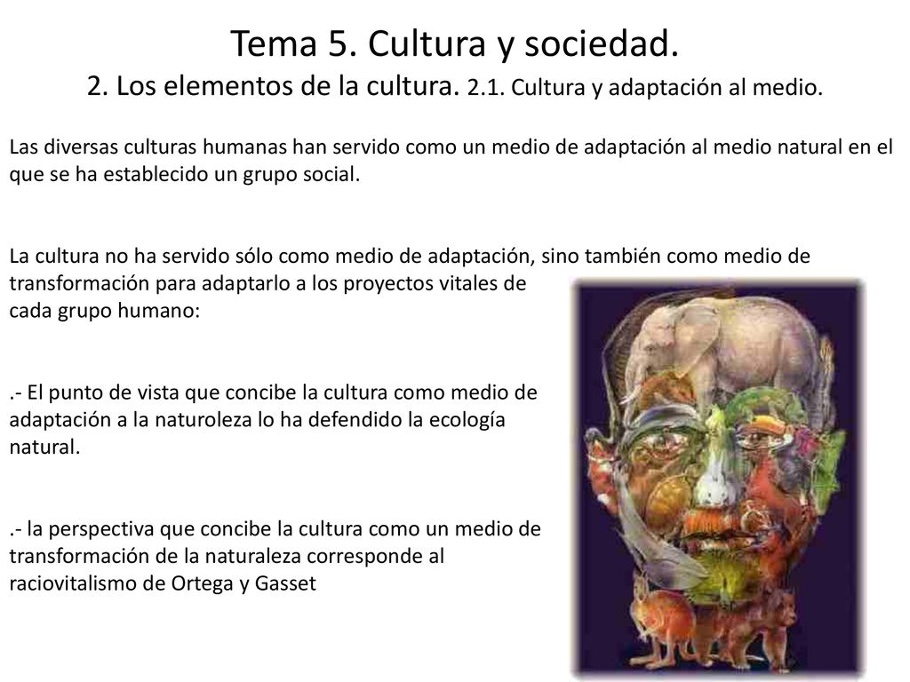 Tema 5. Cultura y sociedad. 2. Los elementos de la cultura. 2. 1