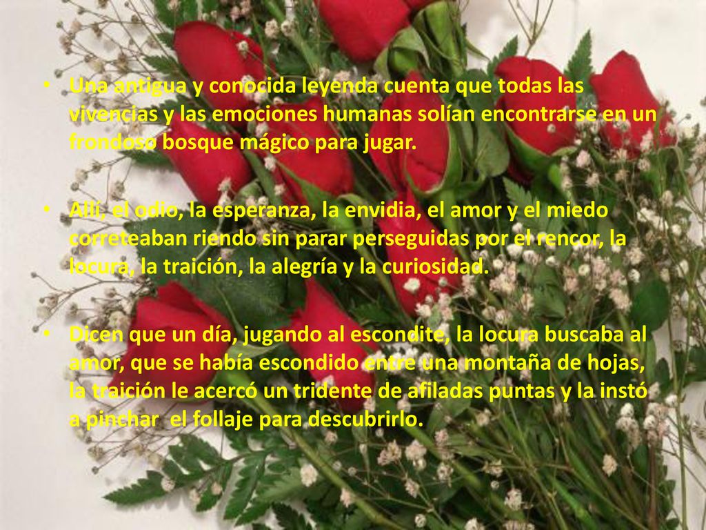 Una antigua y conocida leyenda cuenta que todas las vivencias y las emociones humanas solían encontrarse en un frondoso bosque mágico para jugar.