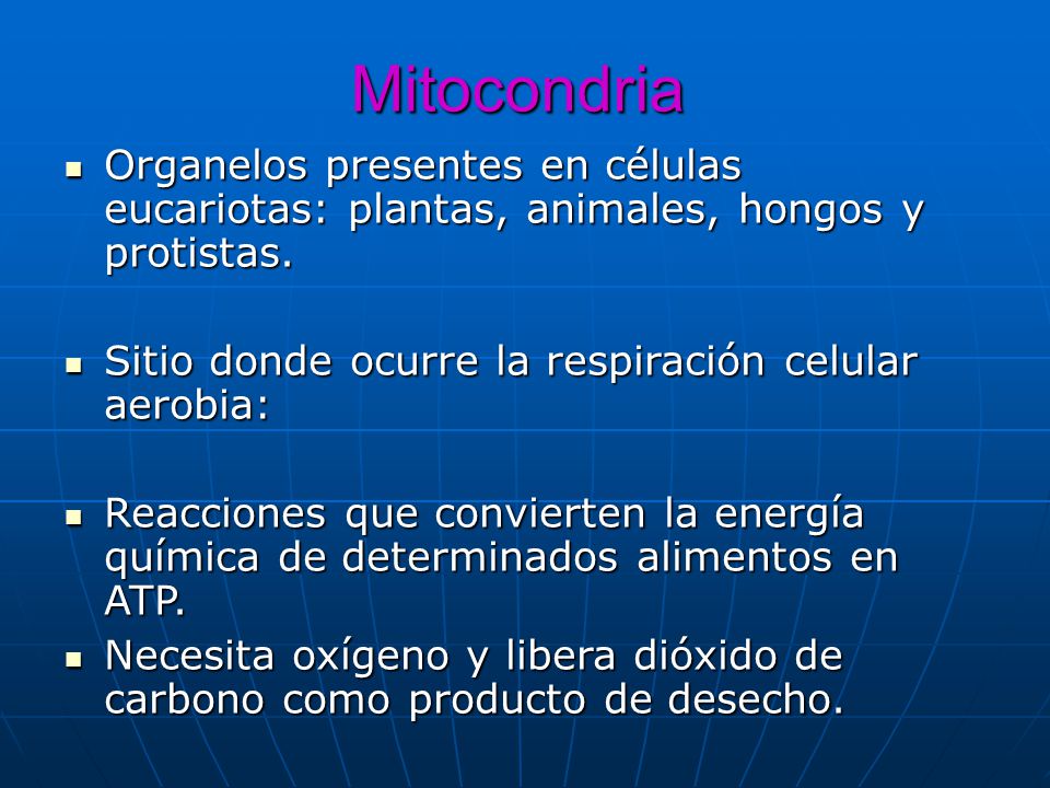 Mitocondria Organelos presentes en células eucariotas: plantas, animales, hongos y protistas. Sitio donde ocurre la respiración celular aerobia: