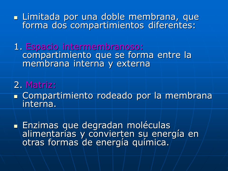Limitada por una doble membrana, que forma dos compartimientos diferentes: