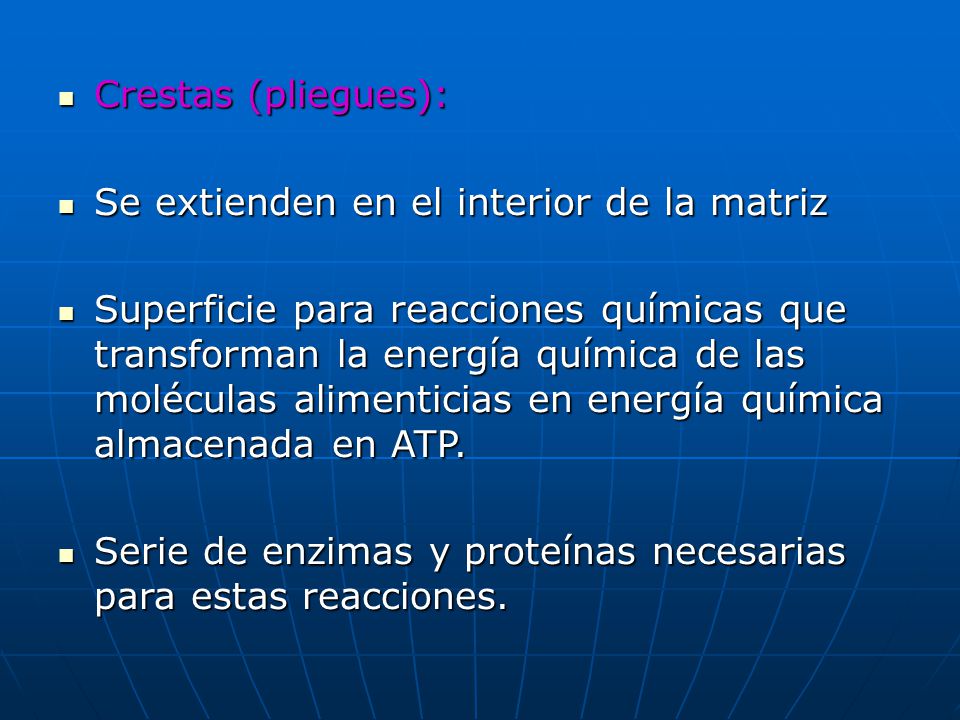 Crestas (pliegues): Se extienden en el interior de la matriz.