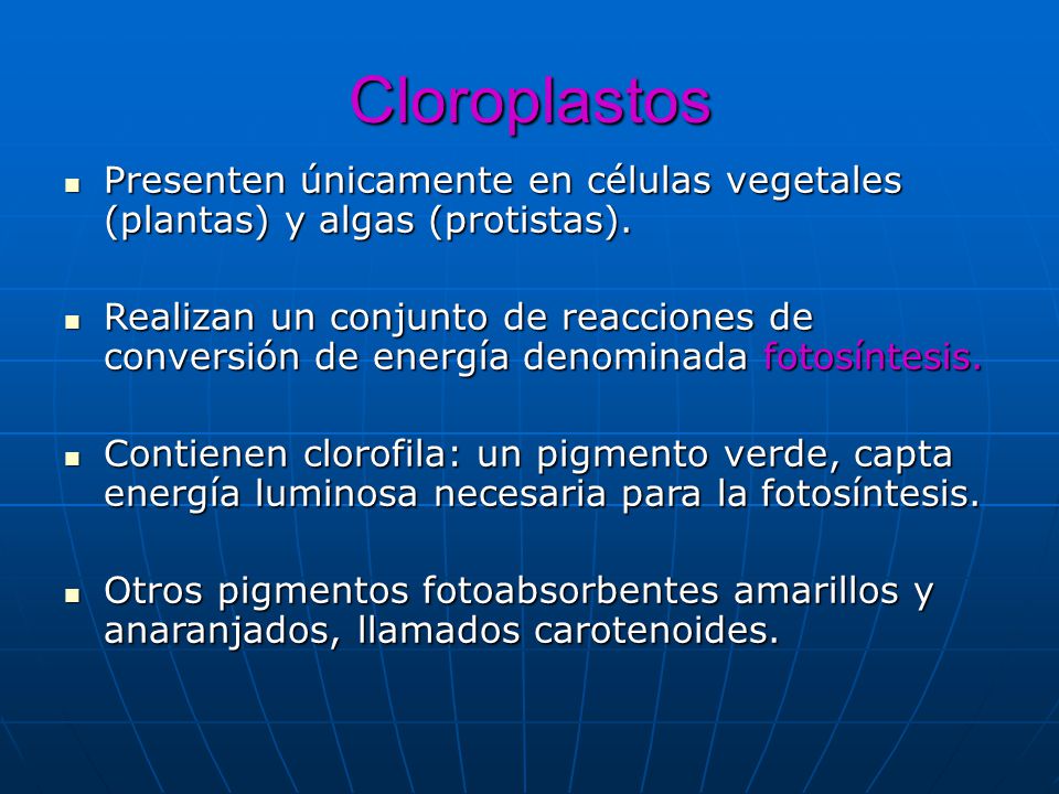 Cloroplastos Presenten únicamente en células vegetales (plantas) y algas (protistas).