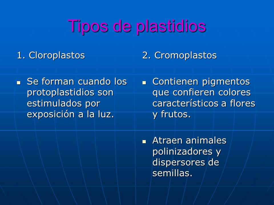 Tipos de plastidios 1. Cloroplastos