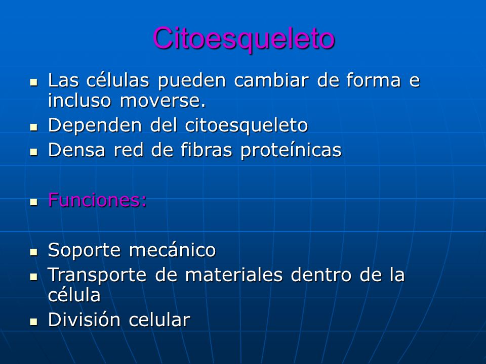 Citoesqueleto Las células pueden cambiar de forma e incluso moverse.