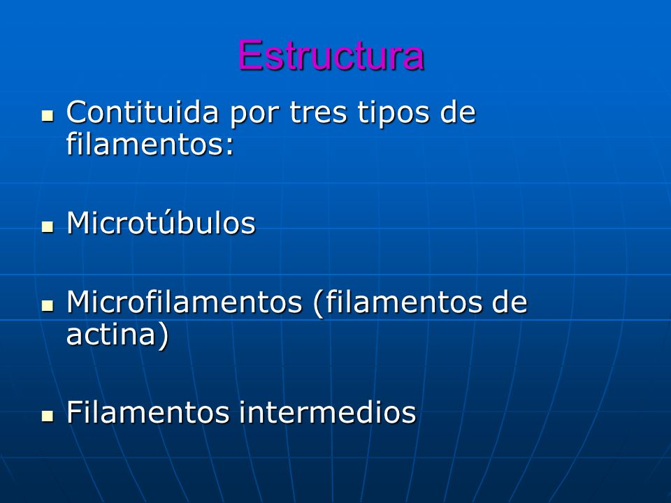 Estructura Contituida por tres tipos de filamentos: Microtúbulos