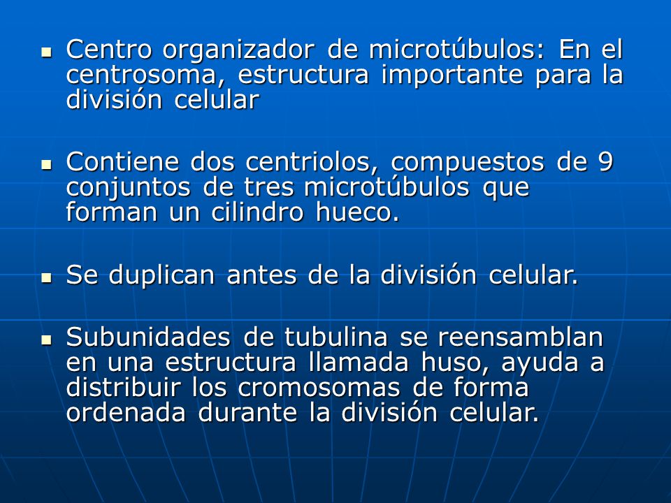 Centro organizador de microtúbulos: En el centrosoma, estructura importante para la división celular