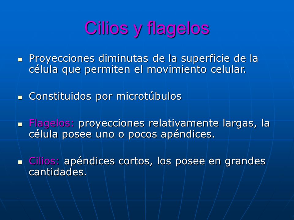 Cilios y flagelos Proyecciones diminutas de la superficie de la célula que permiten el movimiento celular.