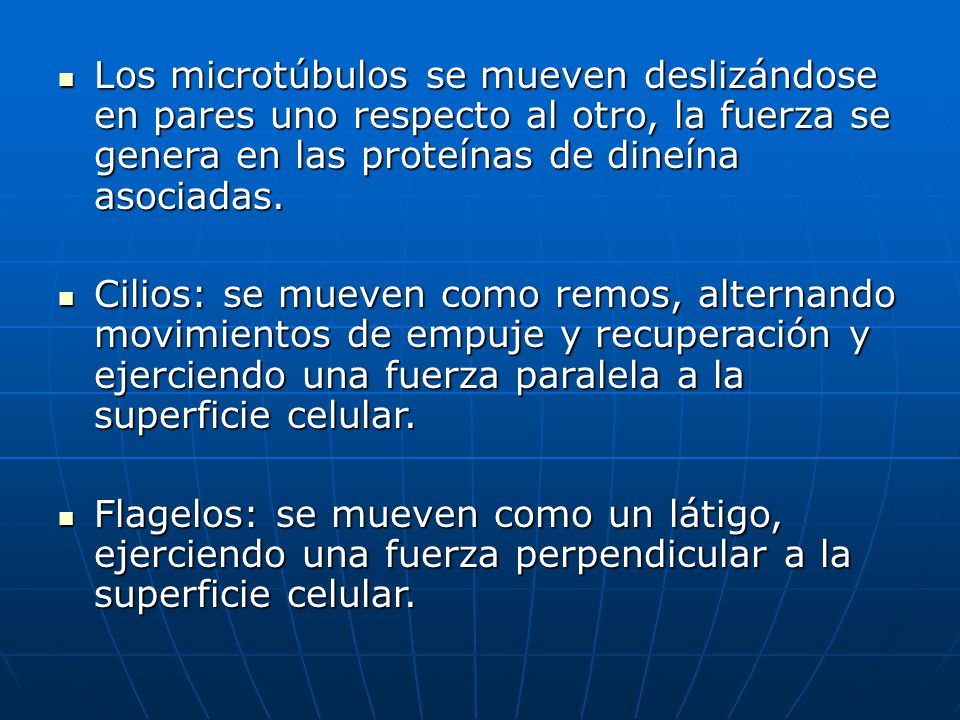 Los microtúbulos se mueven deslizándose en pares uno respecto al otro, la fuerza se genera en las proteínas de dineína asociadas.
