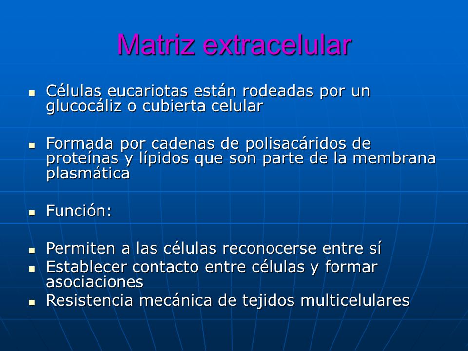 Matriz extracelular Células eucariotas están rodeadas por un glucocáliz o cubierta celular.