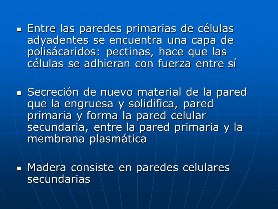 Entre las paredes primarias de células adyadentes se encuentra una capa de polisácaridos: pectinas, hace que las células se adhieran con fuerza entre sí