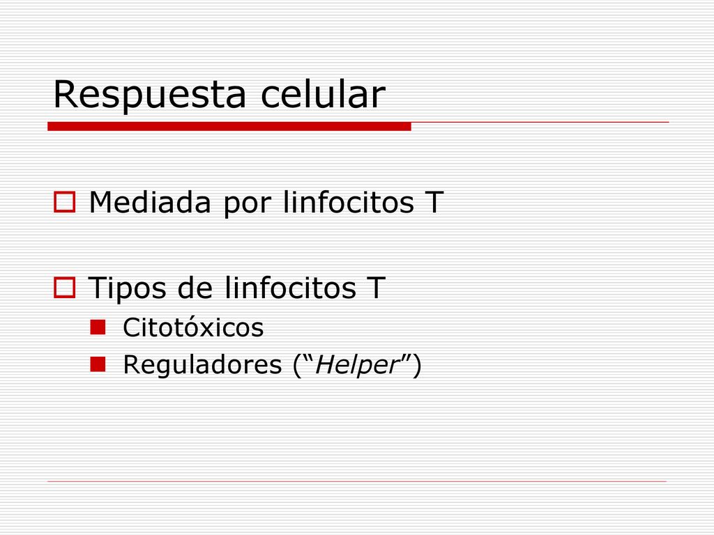 Respuesta celular Mediada por linfocitos T Tipos de linfocitos T