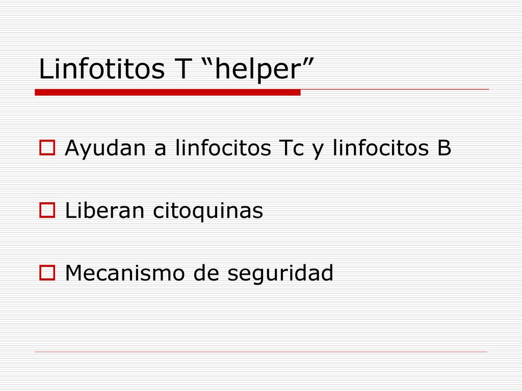 Linfotitos T helper Ayudan a linfocitos Tc y linfocitos B