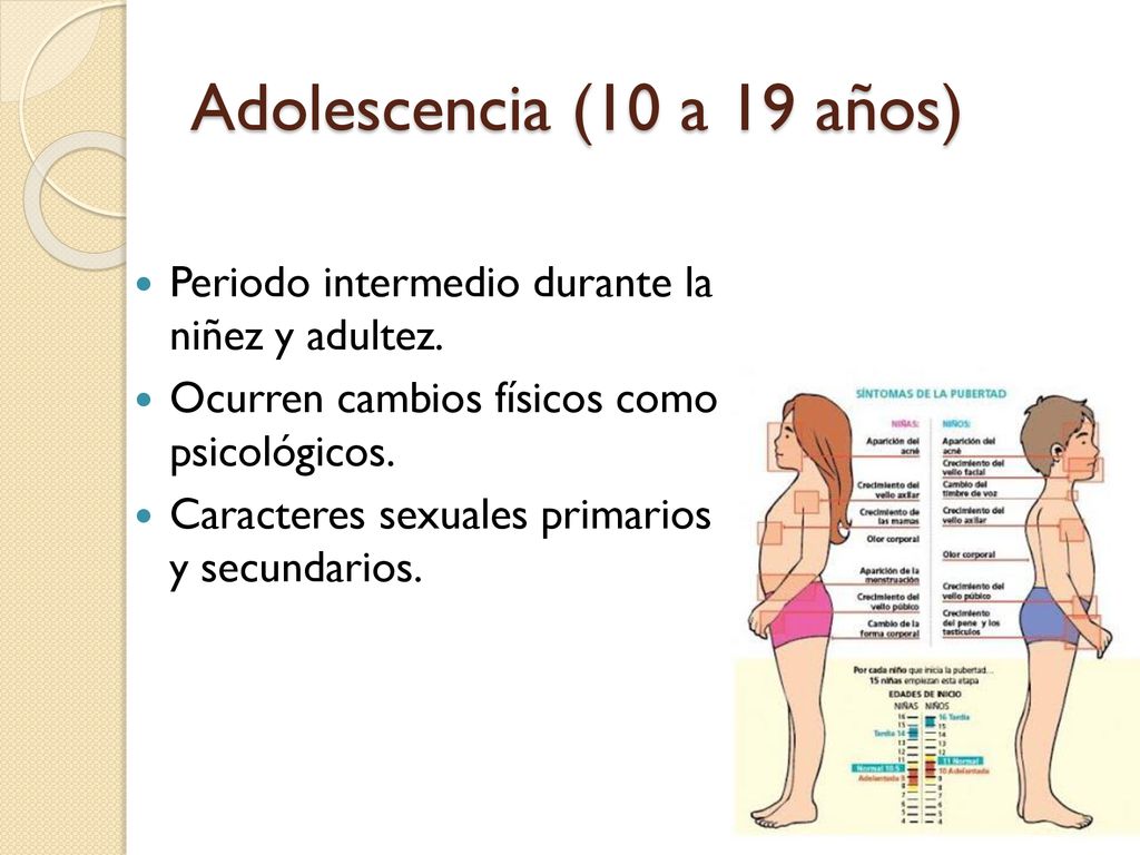 Adolescencia (10 a 19 años) Periodo intermedio durante la niñez y adultez. Ocurren cambios físicos como psicológicos.