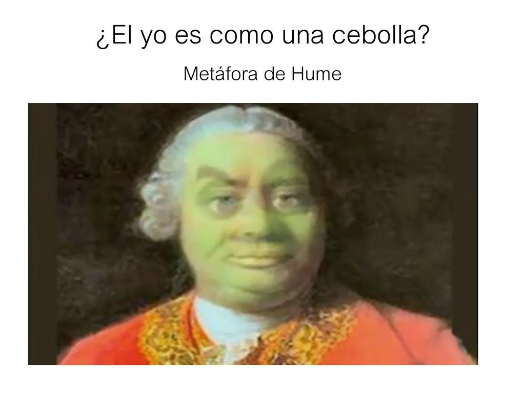 ¿El yo es como una cebolla Metáfora de Hume